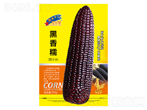 ����Ŵ��Ŵ���ף�-���׷N��-�Aһ�N�I(y��)