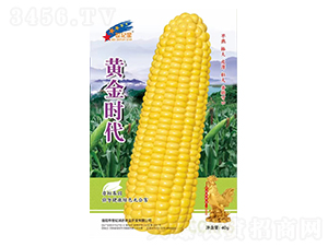 �S��r��-���׷N��-�Aһ�N�I(y��)