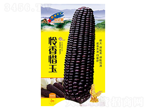 �z��ϧ��-���׷N��-�Aһ�N�I(y��)