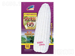 �WŴ60-���׷N��-�Aһ�N�I(y��)