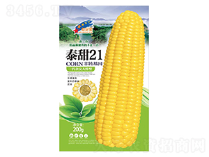 ̩��21-���׷N��-�Aһ�N�I(y��)