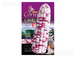 ����Ŵ-���׷N��-�Aһ�N�I(y��)