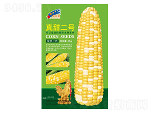 �����̖-���׷N��-�Aһ�N�I(y��)