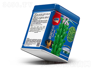 �A֥�ڰ�-֥��N��-�Aһ�N�I(y��)