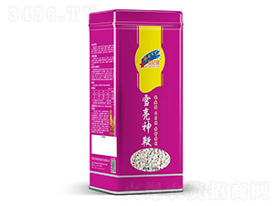 ѩ�����-֥��N��-�Aһ�N�I(y��)