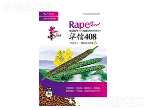 �A��408-�Ͳ˷N��-�Aһ�N�I(y��)