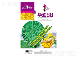 �A��88-�Ͳ˷N��-�Aһ�N�I(y��)