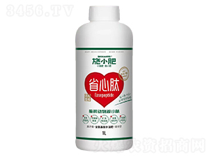 ø�����ԴС��-ʩС��