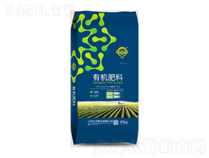 �ЙC����-�|���ʘI(y��)