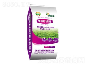 �����ЙC(j��)��-�|���ʘI(y��)