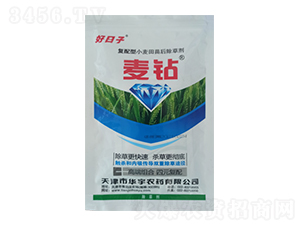 ���������@-�����r(n��ng)��