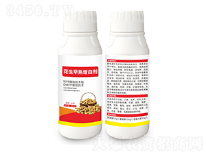 �����������ׄ�-����