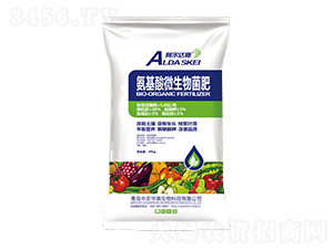 ������΢�������-���r(n��ng)�A��