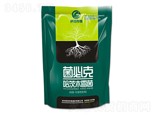 ����ľù��-���ؿ�-�ŷ�����