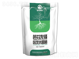 ����ľù��-�ŷ����h-�ŷ�����