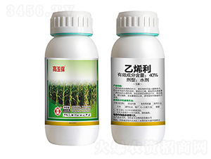 20g��ϩ��-����-ȫ�S