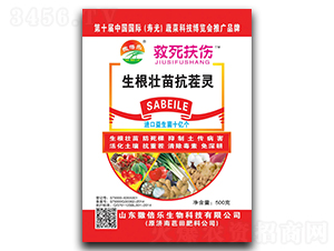 �������翹���`-��������-������