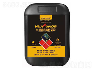 �VԴ�S�����ĸҺ-�Z������