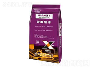 �S�����-��;