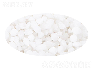 �����@�w��-��(sh��)�����B(t��i)