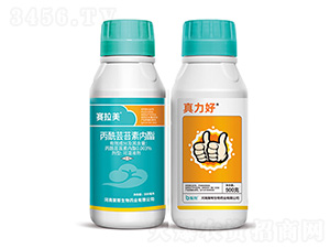 ِ����+������-�ێ�