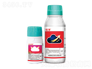 �ƴ���ȭ+ҹ��-�ێ�