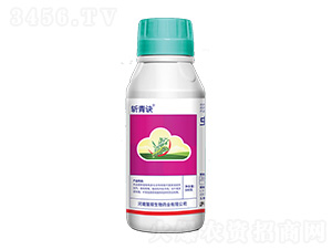 12%�x����ʭ����Ҹ���-�����E-�ێ�