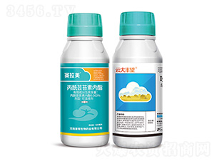 �ƴ��S��+ِ����-�ێ�