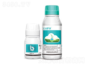 뿾���������+�ƴ��o(h��)��-�ێ�