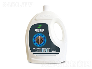 ���S����-Ӣ¶�����S