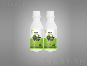 ��@��-Ӣ¶�����S