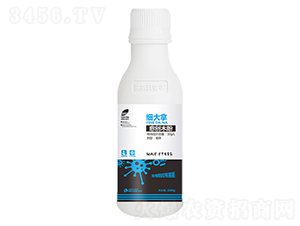 ����(chu��ng)ľ��-��(x��)����-Ӣ¶�����S