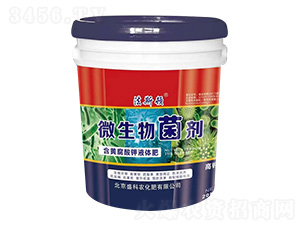 ΢�������-ʢ���r(n��ng)