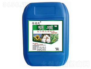 �}�A������-���T-ܰ��ï