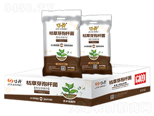 �ݲ�ѿ�ߗU��-�ɵ�