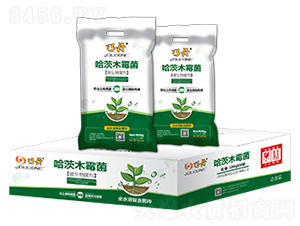 ����ľù��-�ɵ�