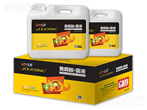 �S���ᡤ��Һ-�ɵ�