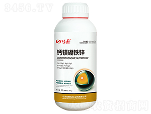 �}�V���F�\-�ɵ�