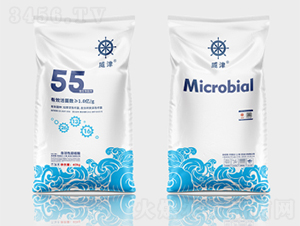 ����ɭ΢�������55��