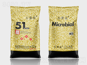 ΢�������51��-ʯ�S��