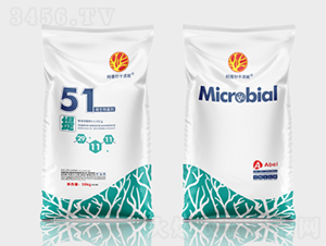 ǧ���΢�������51��