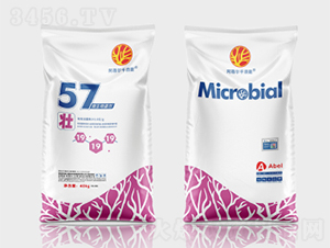 ΢�������57��-ǧ���