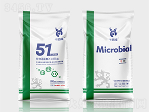 ǧ����΢�������51��