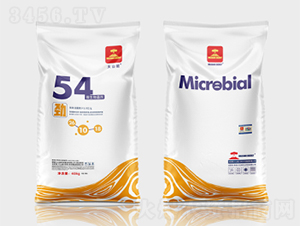 ��ɽ��΢�������54��