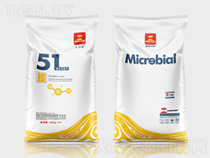 ΢�������51��-��ɽ��