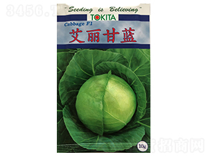 �������{(l��n)-���{(l��n)�N��-ɽ��ʢ�N��