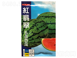 �t���-���ϷN��-ɽ��ʢ�N��