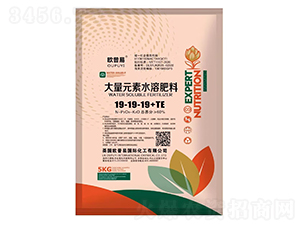 ����Ԫ��ˮ�ܷ���19-19-19+TE-�W����