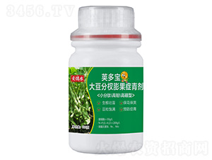 �󶹷������Y����-�v����-�۵��r(n��ng)