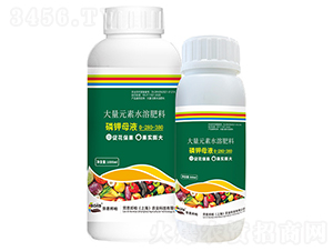 ���ĸҺ-�ڶ����